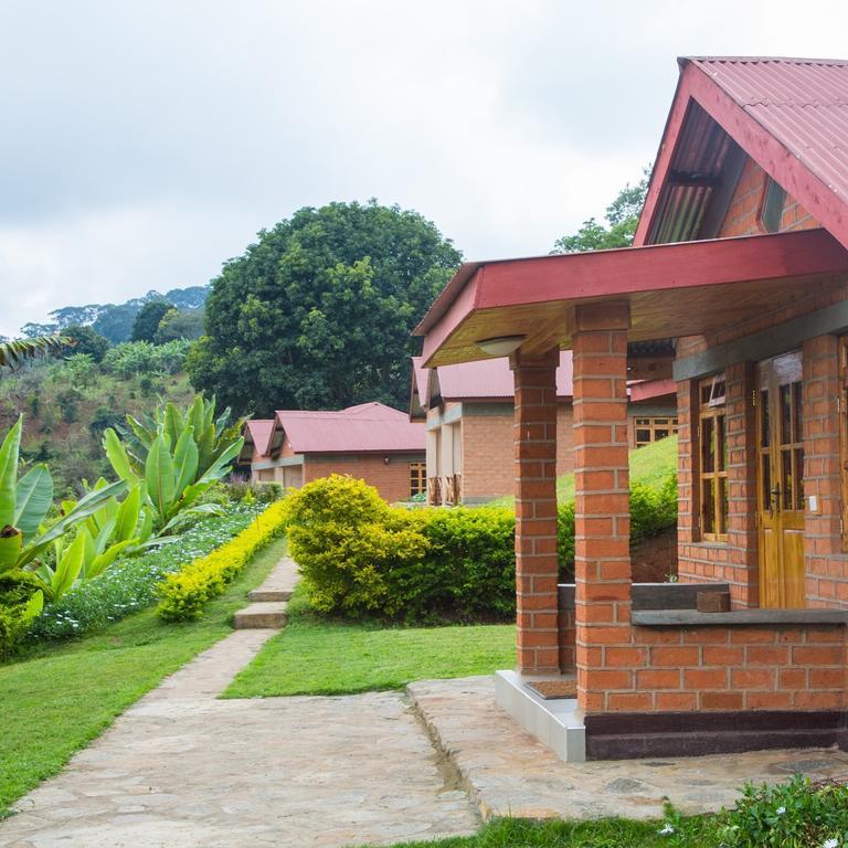 Swiss Farm Cottage Lushoto Exterior photo